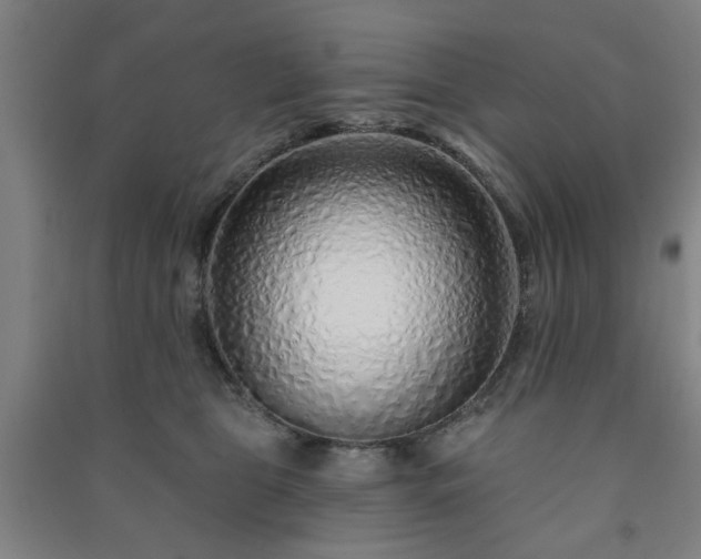 X0000091230469200708161720