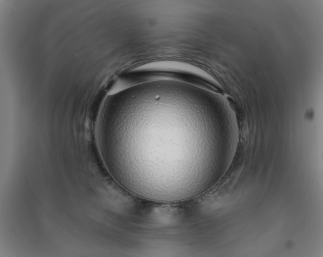 X0000091230470200708161720