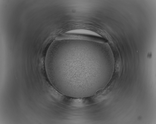 X0000091230473200708161720