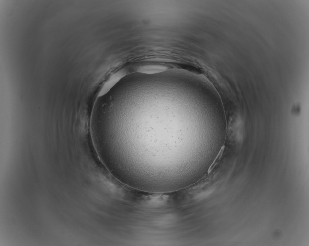 X0000091230474200708161720