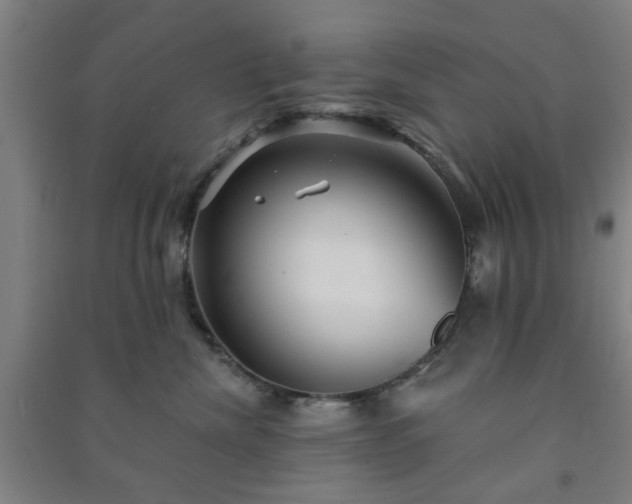 X0000091230476200708161720