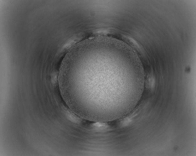 X0000091230477200708161720