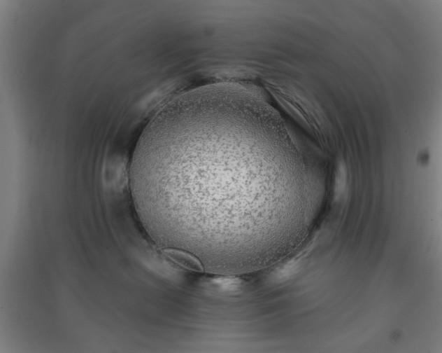 X0000091230478200708161720
