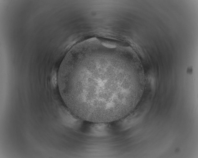 X0000091230479200708161720