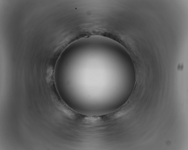 X0000091230480200708161720