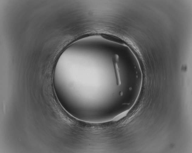 X0000091230481200708161719