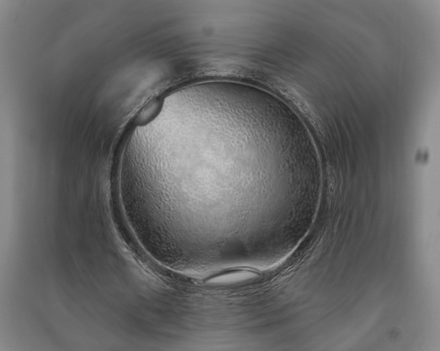 X0000091230482200708161719
