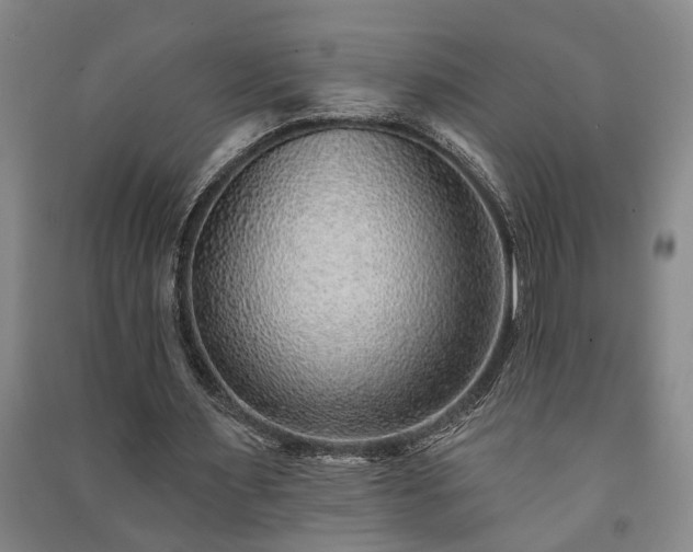 X0000091230483200708161719