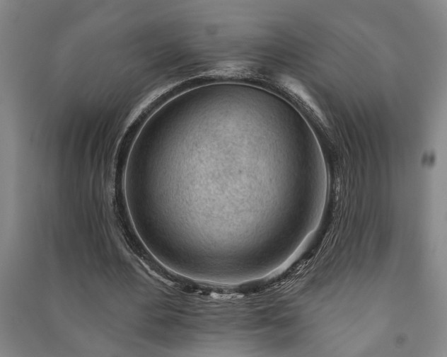 X0000091230484200708161719
