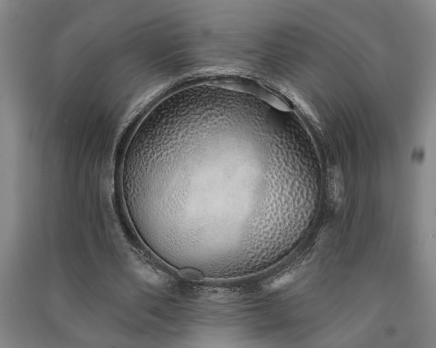 X0000091230486200708161719