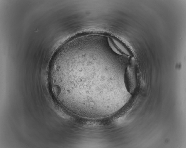X0000091230487200708161719
