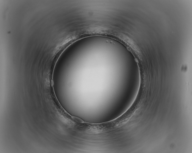 X0000091230489200708161719