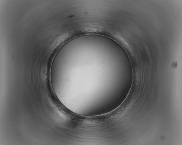 X0000091230490200708161719