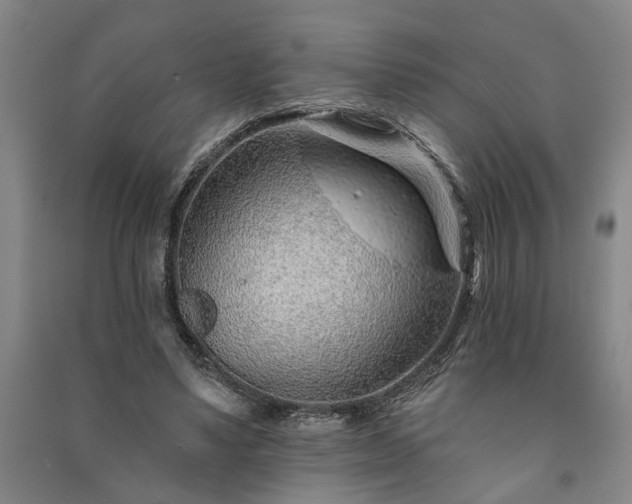 X0000091230491200708161719