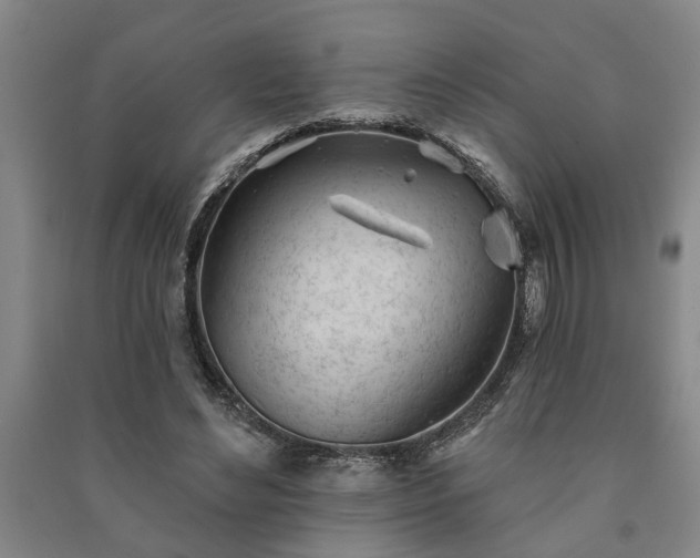 X0000091230492200708161719