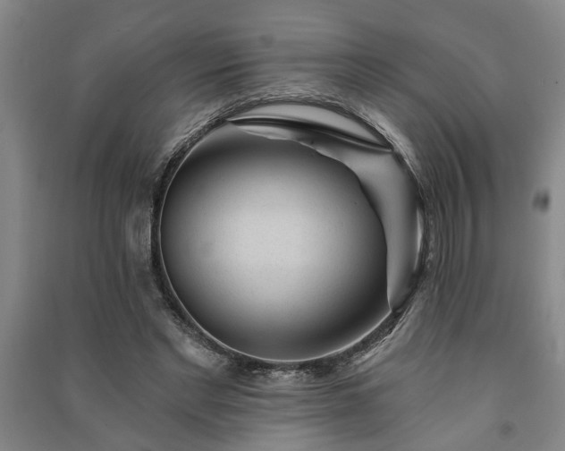 X0000091230493200708161719