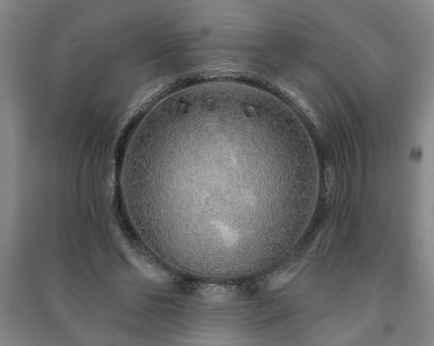 X0000091230494200708161719