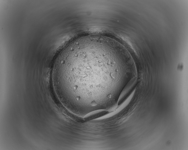 X0000091230495200708161719