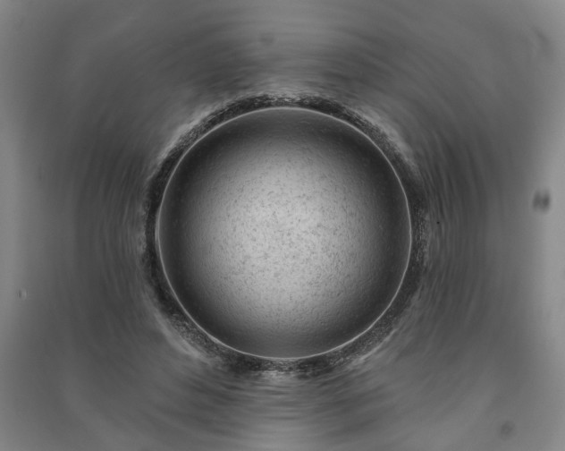 X0000091230496200708161719
