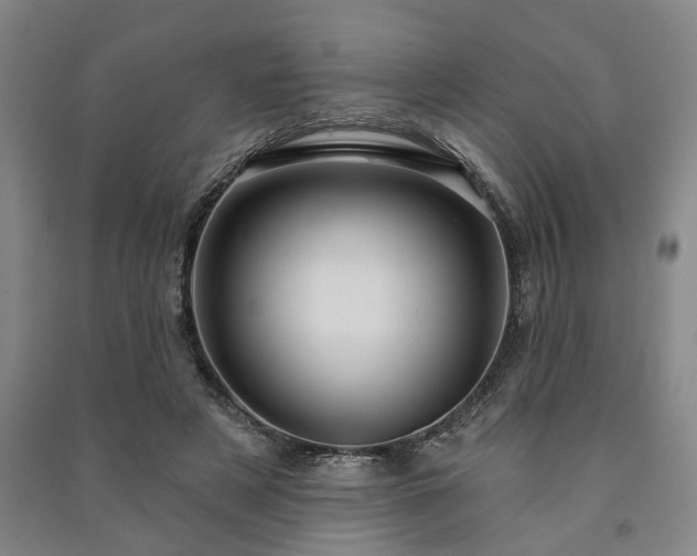 X0000091230497200708161719