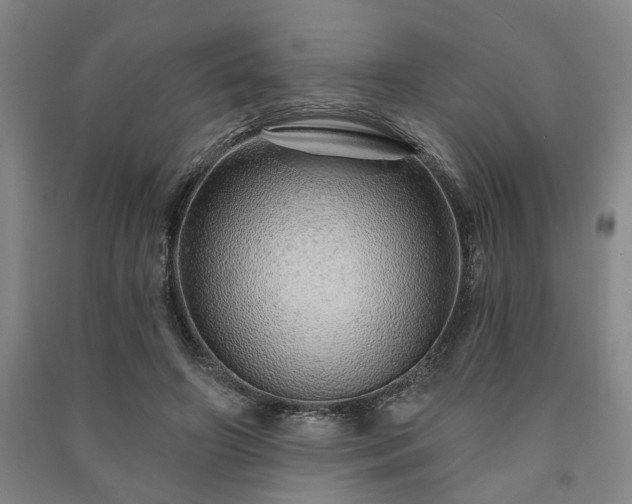 X0000091230498200708161719