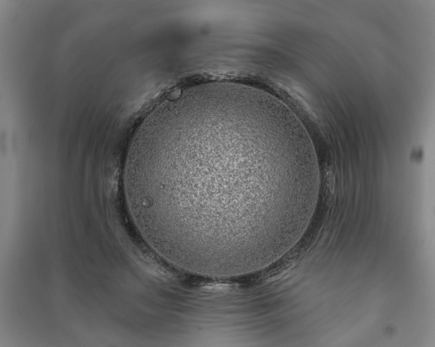 X0000091230499200708161719