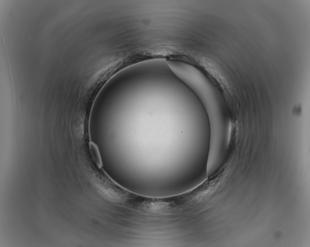 X0000091230501200708161719