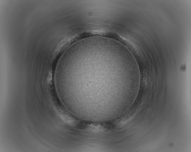 X0000091230502200708161719
