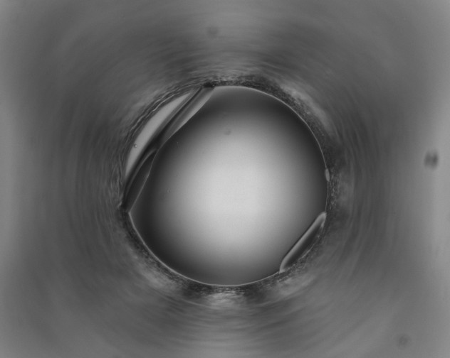 X0000091230505200708161719
