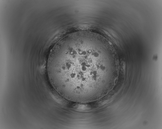 X0000091230507200708161719