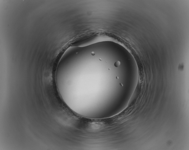 X0000091230508200708161719