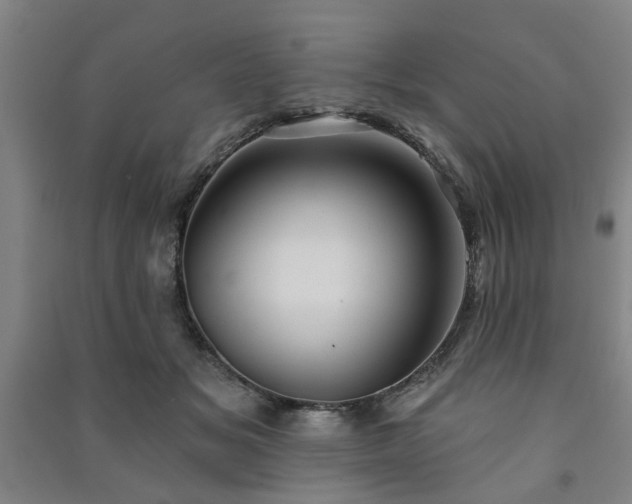 X0000091230509200708161719