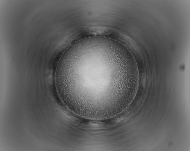 X0000091230510200708161719