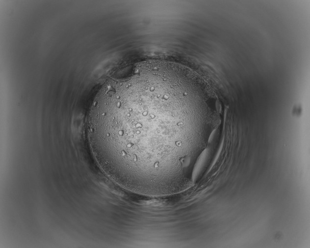 X0000091230511200708161719