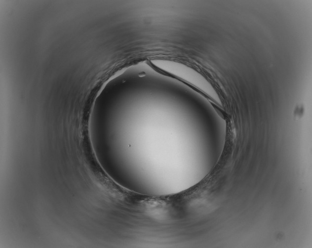 X0000091230512200708161719