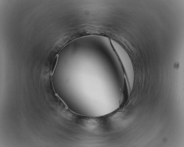 X0000091230513200708161719