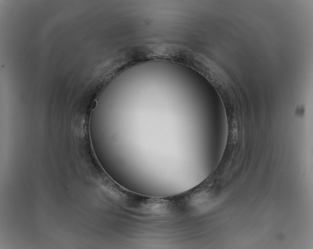 X0000091230514200708161719