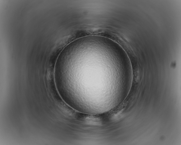 X0000091230515200708161719