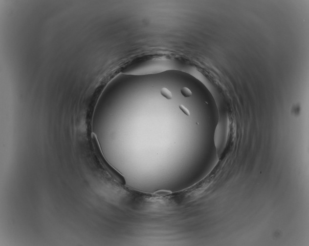 X0000091230516200708161719