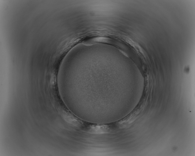 X0000091230517200708161719