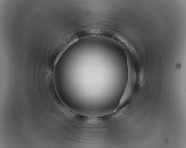 X0000091230521200708161719