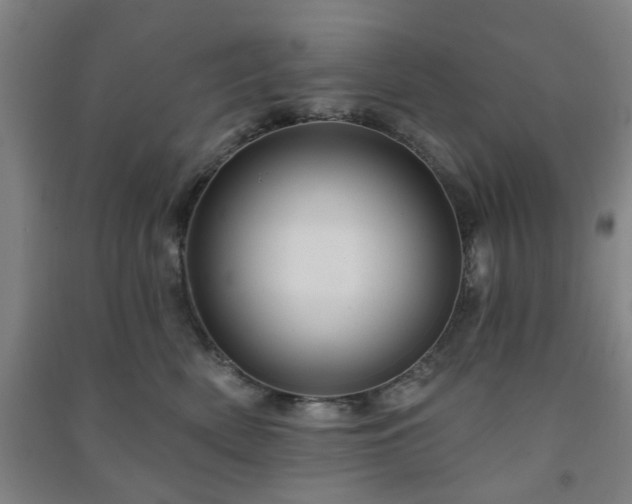 X0000091230522200708161719