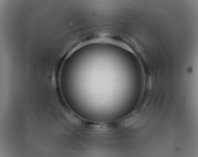 X0000091230524200708161719