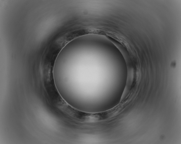 X0000091230525200708161719