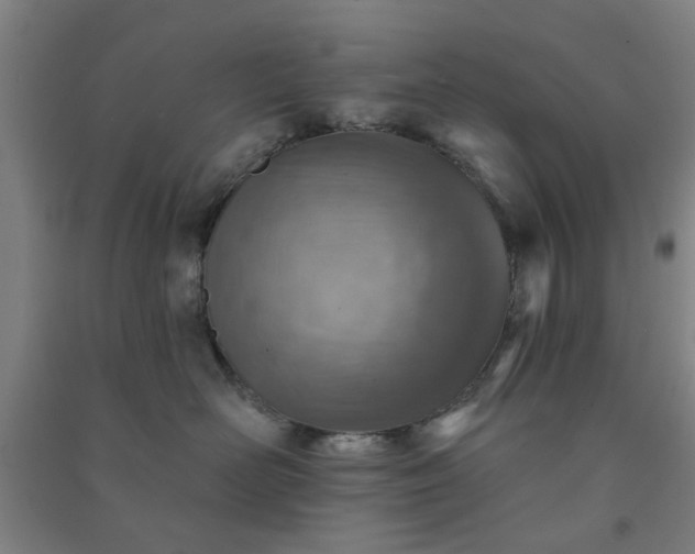 X0000091230526200708161719