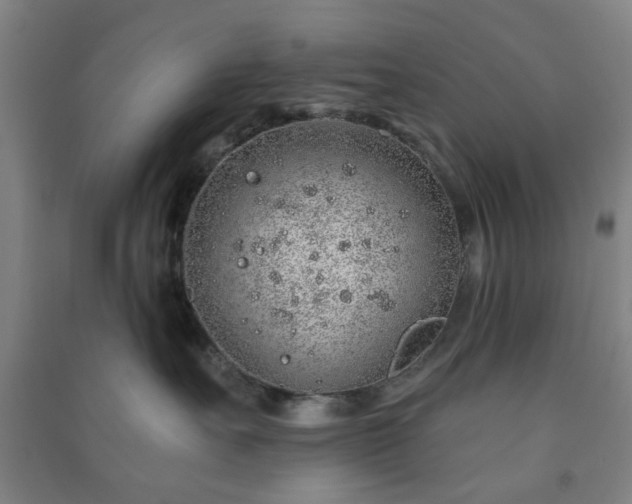 X0000091230527200708161719