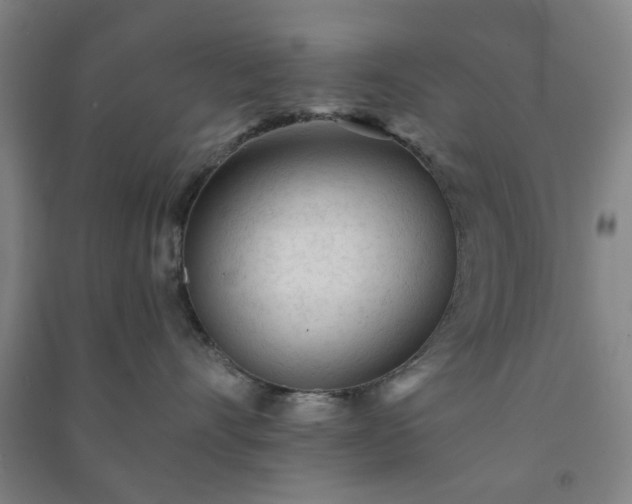 X0000091230528200708161719