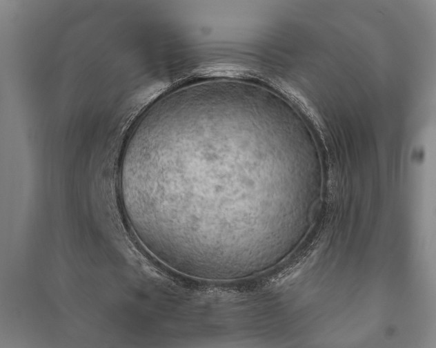 X0000091230529200708161718