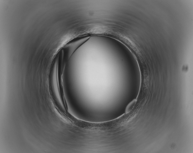 X0000091230530200708161718