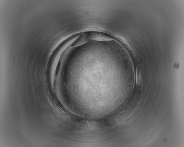 X0000091230531200708161718